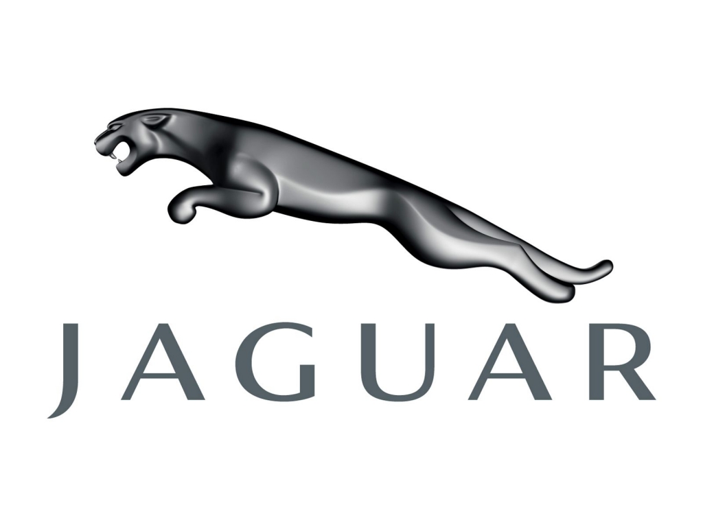 JAGUAR JAGUAR