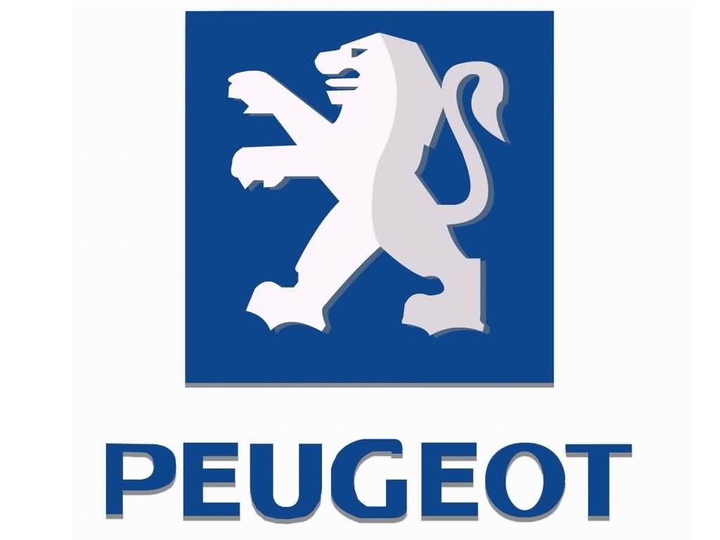 антифриз для PEUGEOT